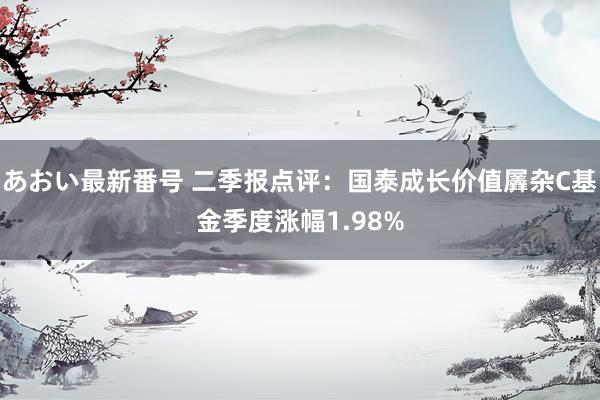 あおい最新番号 二季报点评：国泰成长价值羼杂C基金季度涨幅1.98%