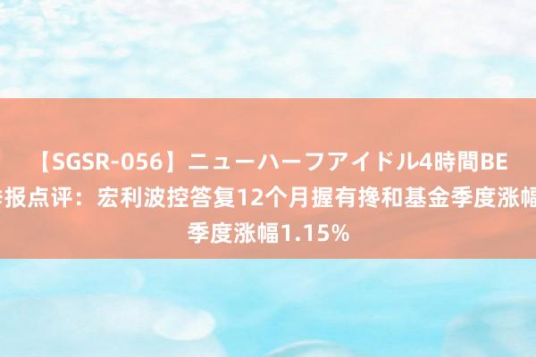 【SGSR-056】ニューハーフアイドル4時間BEST 二季报点评：宏利波控答复12个月握有搀和基金季度涨幅1.15%