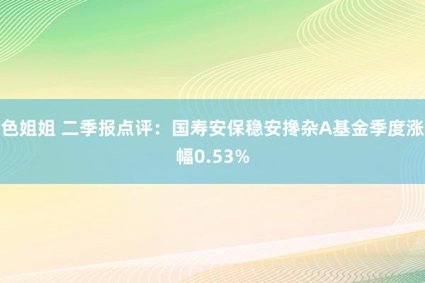 色姐姐 二季报点评：国寿安保稳安搀杂A基金季度涨幅0.53%