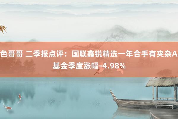 色哥哥 二季报点评：国联鑫锐精选一年合手有夹杂A基金季度涨幅-4.98%