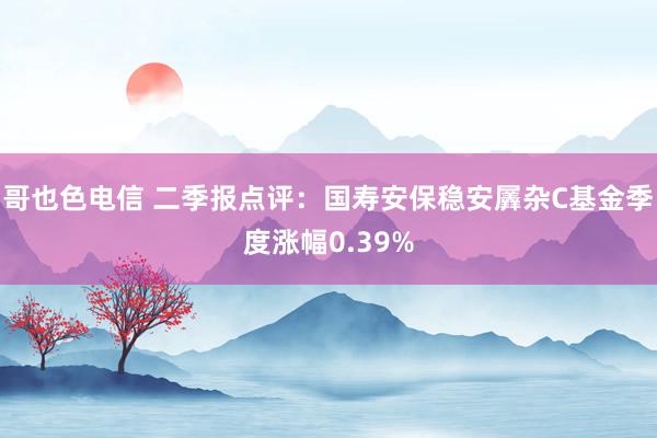 哥也色电信 二季报点评：国寿安保稳安羼杂C基金季度涨幅0.39%