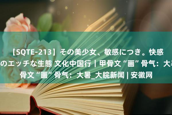 【SQTE-213】その美少女、敏感につき。快感が止まらない女の子のエッチな生態 文化中国行｜甲骨文“画”骨气：大暑_大皖新闻 | 安徽网