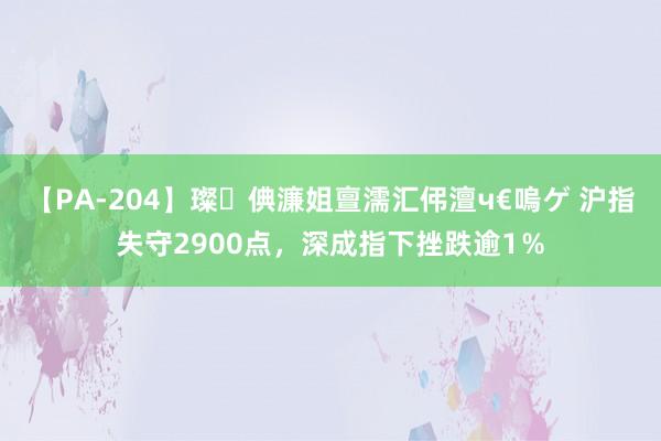 【PA-204】璨倎濂姐亶濡汇伄澶ч€嗚ゲ 沪指失守2900点，深成指下挫跌逾1％