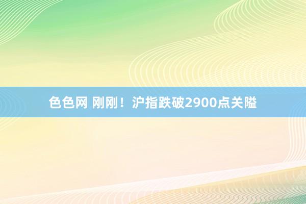 色色网 刚刚！沪指跌破2900点关隘