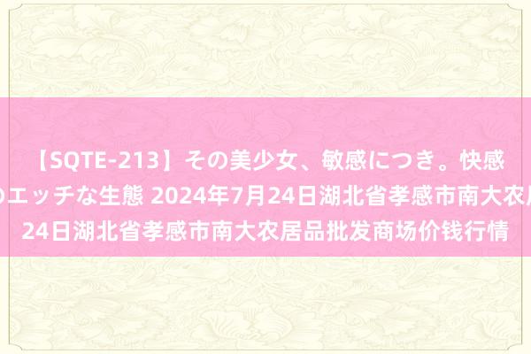 【SQTE-213】その美少女、敏感につき。快感が止まらない女の子のエッチな生態 2024年7月24日湖北省孝感市南大农居品批发商场价钱行情