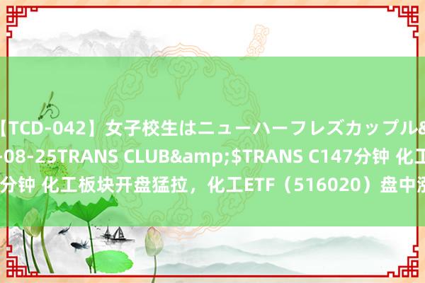 【TCD-042】女子校生はニューハーフレズカップル</a>2010-08-25TRANS CLUB&$TRANS C147分钟 化工板块开盘猛拉，化工ETF（516020）盘中涨超2%！资金继续回流