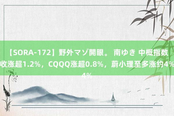 【SORA-172】野外マゾ開眼。 南ゆき 中概指数收涨超1.2%，CQQQ涨超0.8%，蔚小理至多涨约4%