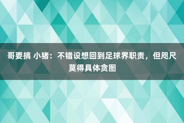 哥要搞 小猪：不错设想回到足球界职责，但咫尺莫得具体贪图