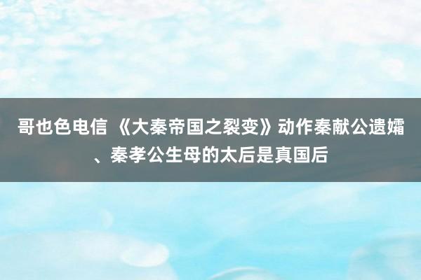 哥也色电信 《大秦帝国之裂变》动作秦献公遗孀、秦孝公生母的太后是真国后