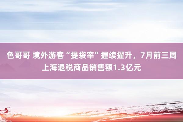 色哥哥 境外游客“提袋率”握续擢升，7月前三周上海退税商品销售额1.3亿元