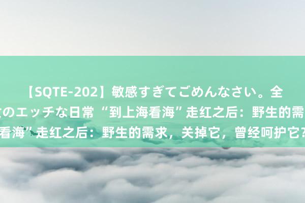 【SQTE-202】敏感すぎてごめんなさい。全身性感帯みたいな美少女のエッチな日常 “到上海看海”走红之后：野生的需求，关掉它，曾经呵护它？