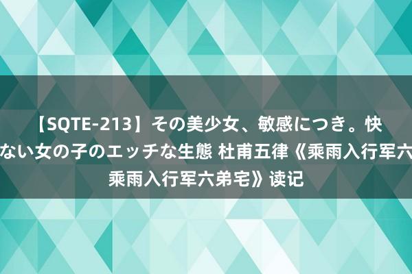 【SQTE-213】その美少女、敏感につき。快感が止まらない女の子のエッチな生態 杜甫五律《乘雨入行军六弟宅》读记