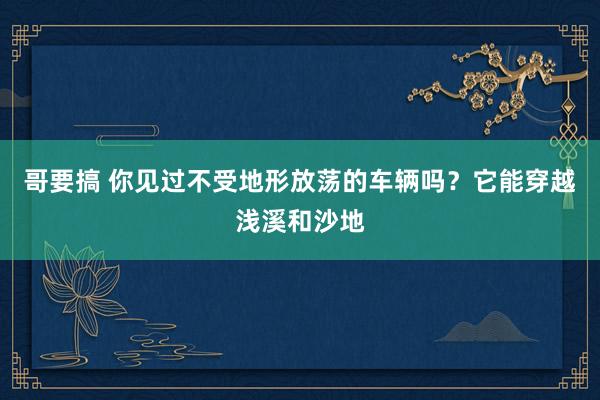 哥要搞 你见过不受地形放荡的车辆吗？它能穿越浅溪和沙地