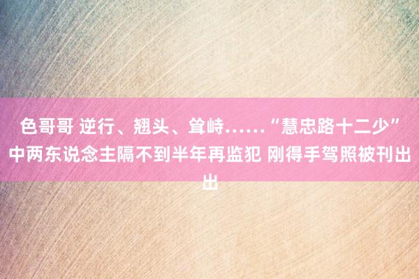 色哥哥 逆行、翘头、耸峙……“慧忠路十二少”中两东说念主隔不到半年再监犯 刚得手驾照被刊出