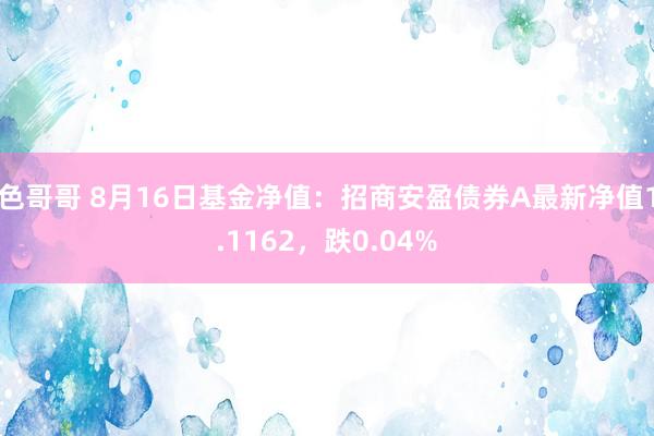 色哥哥 8月16日基金净值：招商安盈债券A最新净值1.1162，跌0.04%