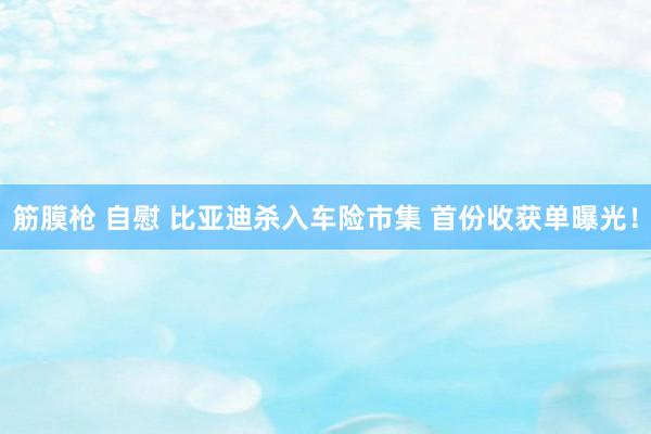 筋膜枪 自慰 比亚迪杀入车险市集 首份收获单曝光！