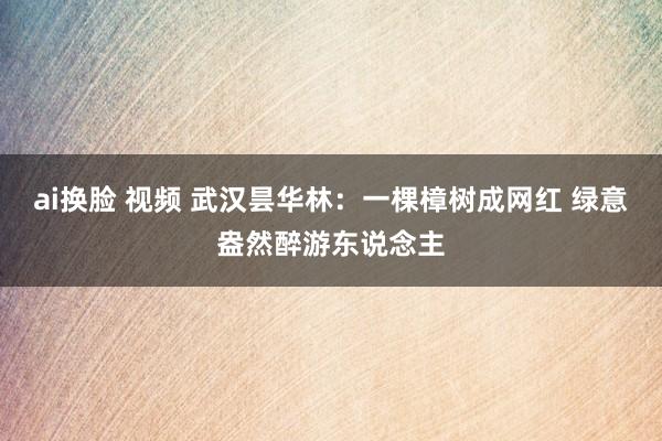 ai换脸 视频 武汉昙华林：一棵樟树成网红 绿意盎然醉游东说念主