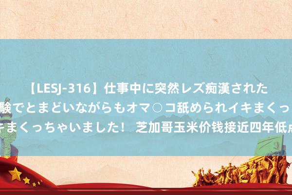 【LESJ-316】仕事中に突然レズ痴漢された私（ノンケ）初めての経験でとまどいながらもオマ○コ舐められイキまくっちゃいました！ 芝加哥玉米价钱接近四年低点，小麦大豆飞腾