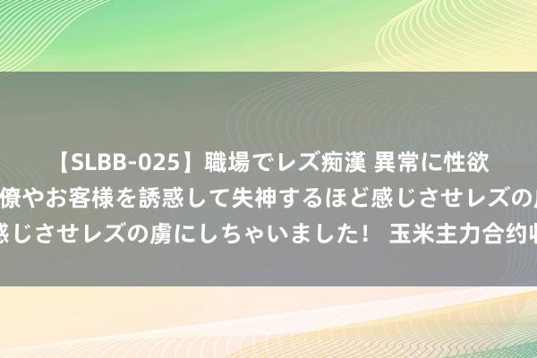 【SLBB-025】職場でレズ痴漢 異常に性欲の強い私（真性レズ）同僚やお客様を誘惑して失神するほど感じさせレズの虜にしちゃいました！ 玉米主力合约收涨0.04%