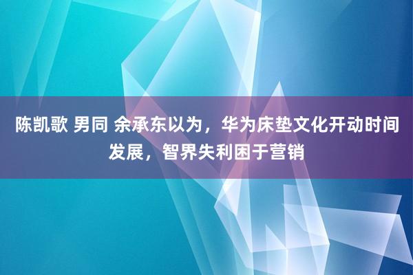 陈凯歌 男同 余承东以为，华为床垫文化开动时间发展，智界失利困于营销