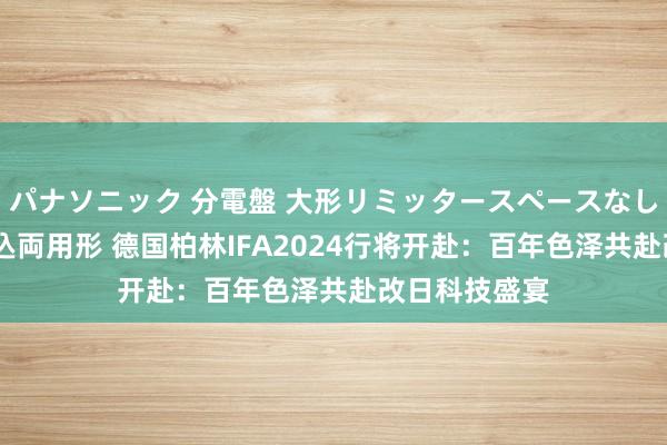 パナソニック 分電盤 大形リミッタースペースなし 露出・半埋込両用形 德国柏林IFA2024行将开赴：百年色泽共赴改日科技盛宴