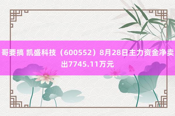 哥要搞 凯盛科技（600552）8月28日主力资金净卖出7745.11万元