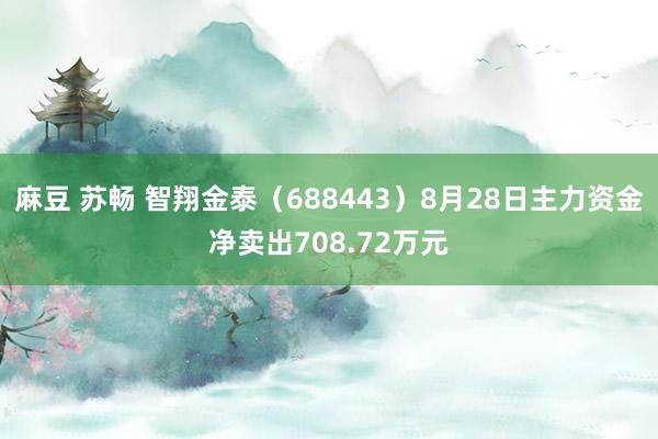 麻豆 苏畅 智翔金泰（688443）8月28日主力资金净卖出708.72万元