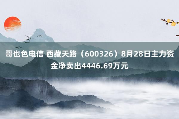 哥也色电信 西藏天路（600326）8月28日主力资金净卖出4446.69万元