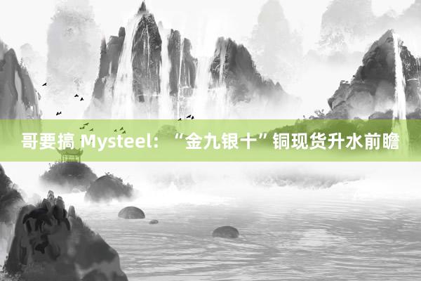 哥要搞 Mysteel：“金九银十”铜现货升水前瞻