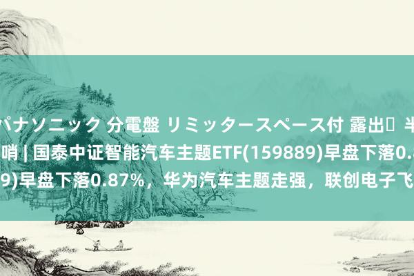 パナソニック 分電盤 リミッタースペース付 露出・半埋込両用形 ETF最前哨 | 国泰中证智能汽车主题ETF(159889)早盘下落0.87%，华为汽车主题走强，联创电子飞腾10.07%