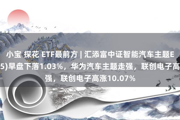 小宝 探花 ETF最前方 | 汇添富中证智能汽车主题ETF(159795)早盘下落1.03%，华为汽车主题走强，联创电子高涨10.07%