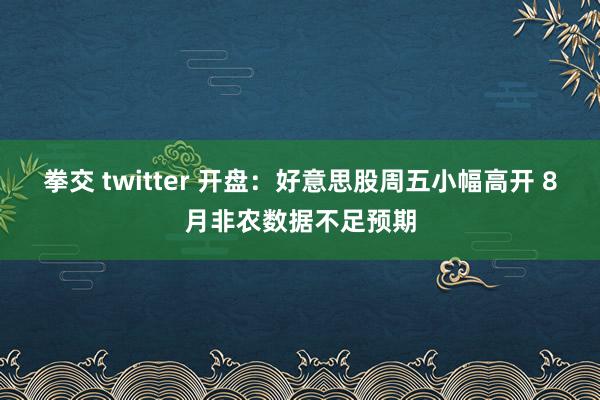 拳交 twitter 开盘：好意思股周五小幅高开 8月非农数据不足预期