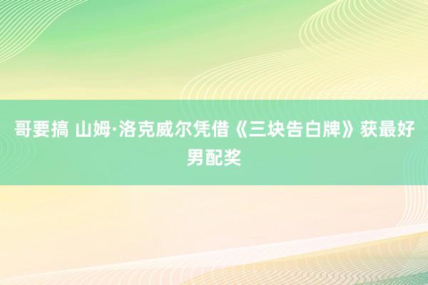 哥要搞 山姆·洛克威尔凭借《三块告白牌》获最好男配奖