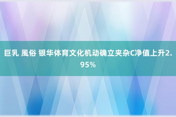 巨乳 風俗 银华体育文化机动确立夹杂C净值上升2.95%