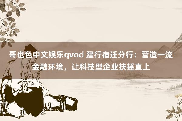 哥也色中文娱乐qvod 建行宿迁分行：营造一流金融环境，让科技型企业扶摇直上