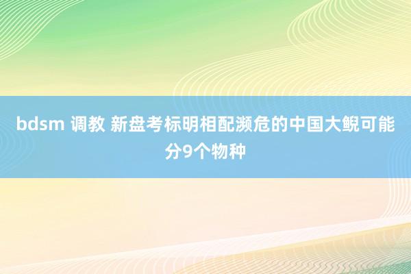 bdsm 调教 新盘考标明相配濒危的中国大鲵可能分9个物种