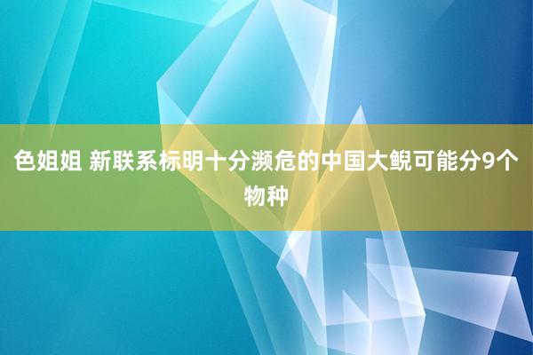 色姐姐 新联系标明十分濒危的中国大鲵可能分9个物种