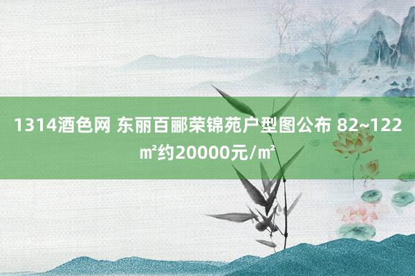 1314酒色网 东丽百郦荣锦苑户型图公布 82~122㎡约20000元/㎡