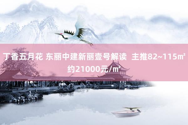 丁香五月花 东丽中建新丽壹号解读  主推82~115㎡约21000元/㎡