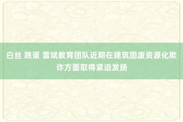 白丝 跳蛋 雷斌教育团队近期在建筑固废资源化欺诈方面取得紧迫发扬